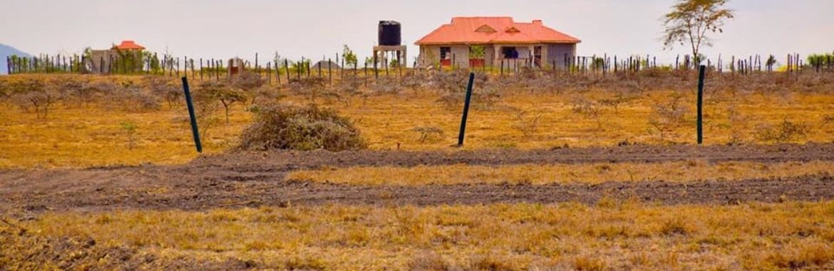 Guide to buying land in Kenya. 4 Key steps [Guide]