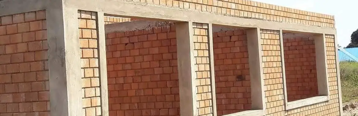 Interlocking Bricks: What you need to know about these bricks